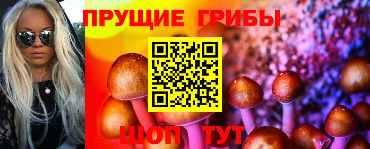 Орехово-Зуево  Галлюциногенные грибы Magic Shrooms  Галлюциногенные грибы Cubensis  Вход с VPN 