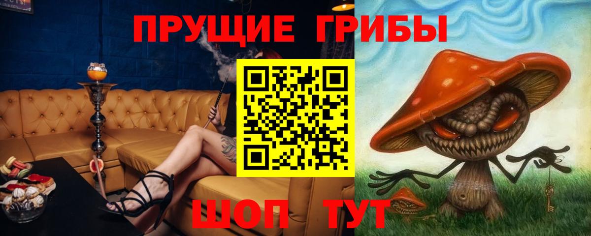 Псилоцибиновые грибы GOLDEN TEACHER Орехово-Зуево